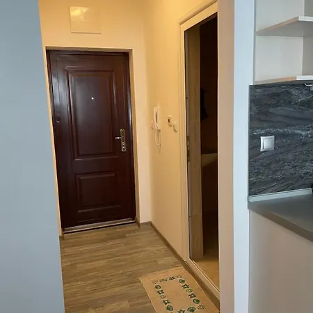 Silver Studio Apartment *